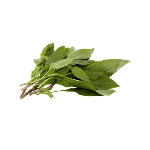 Basil Leaves