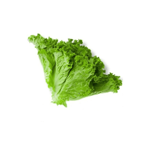 Lettuce Leaves – Salad Patta