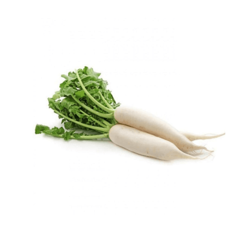 White Radish – Mooli