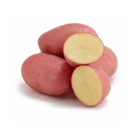 Potatoes – Aalu