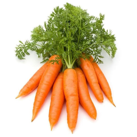 Carrot China