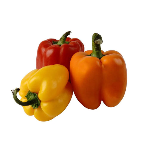 Bell Pepper – Colored Capsicum