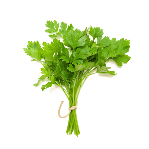 Coriander Leaves – Dhaniya