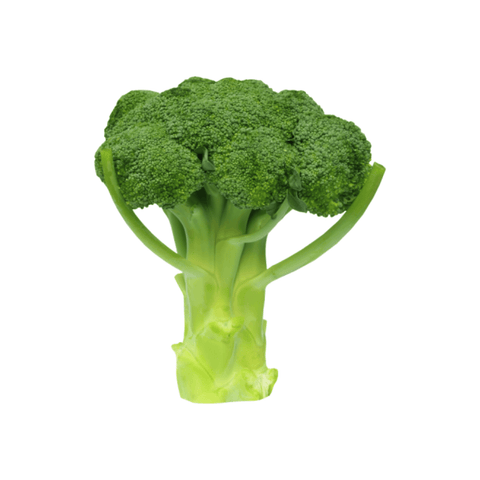 Broccoli