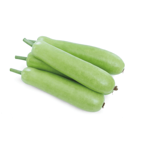 Bottle Gourd Long - Loki