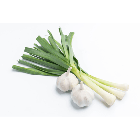 Green Garlic