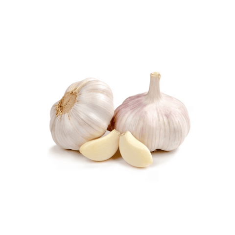 Garlic China