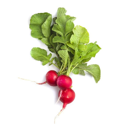 Red Radish